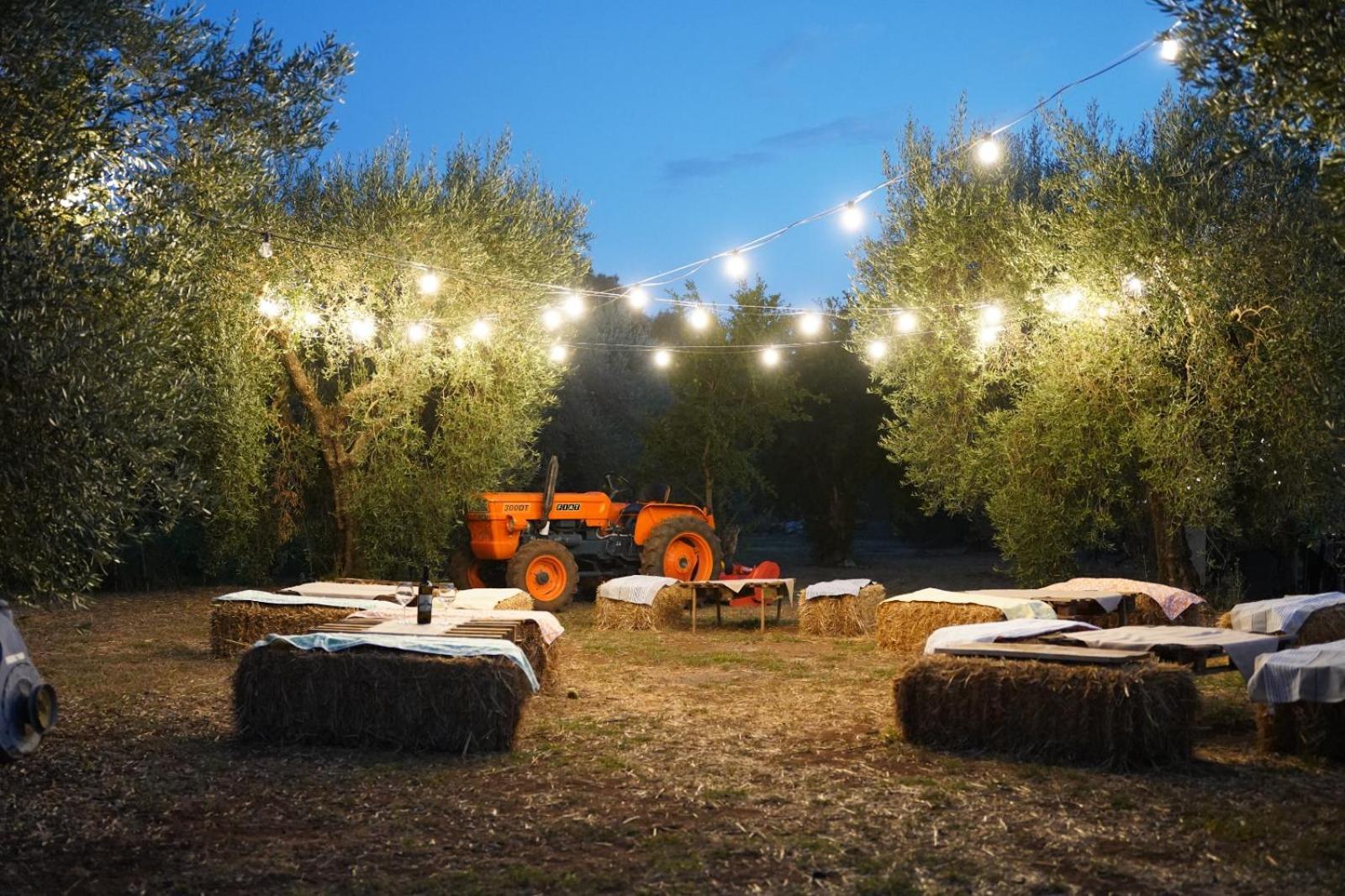 Agriturismo Country Casale Rufo Sonnino Exterior foto